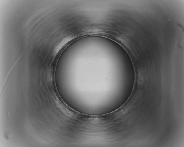 X0000102231458200808011214