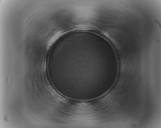X0000102231459200808011214