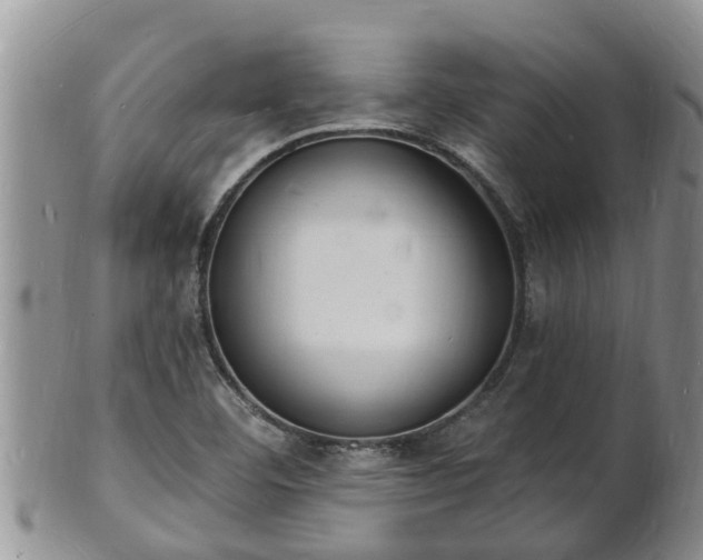 X0000102231460200808011214