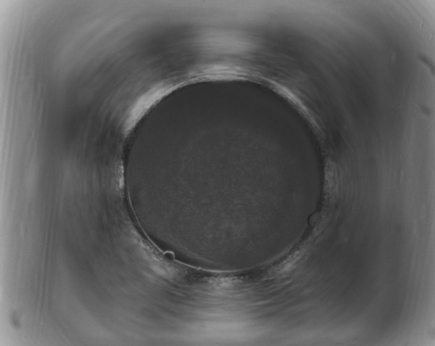 X0000102231461200808011214