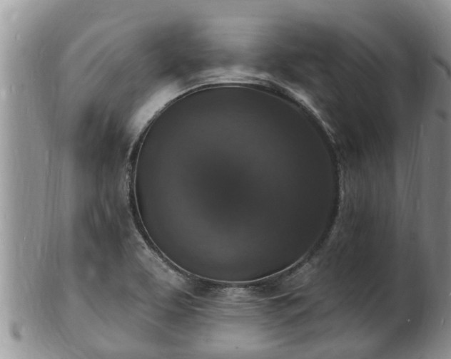 X0000102231463200808011214
