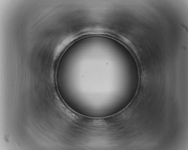 X0000102231464200808011214