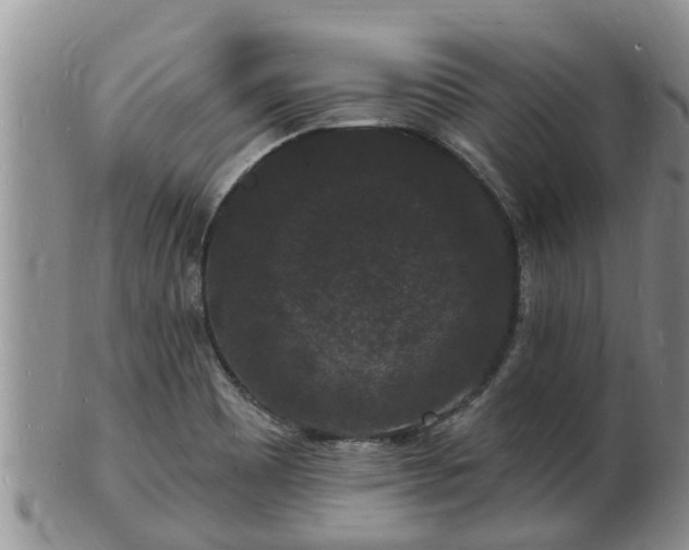 X0000102231465200808011214
