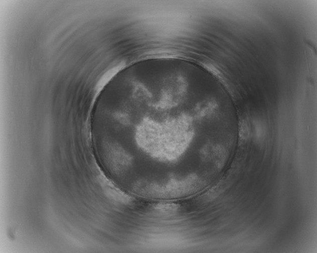X0000102231466200808011214