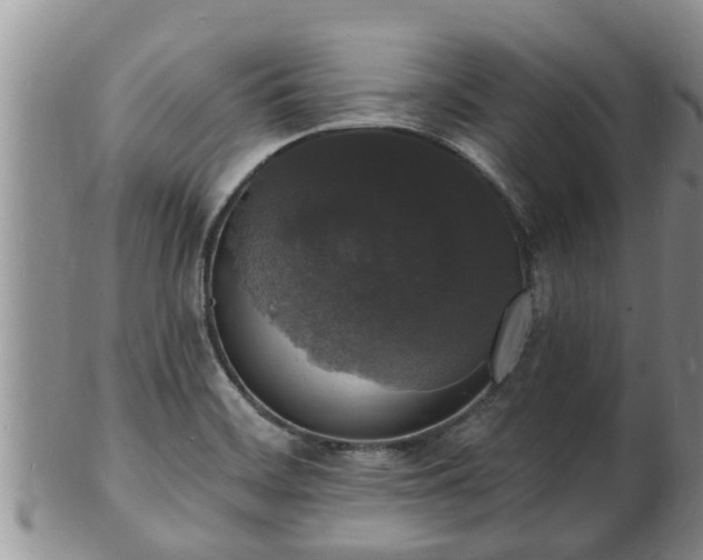 X0000102231468200808011214