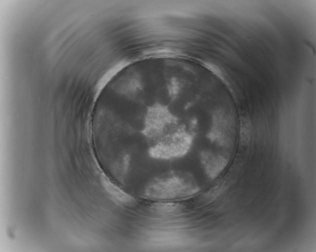 X0000102231474200808011214