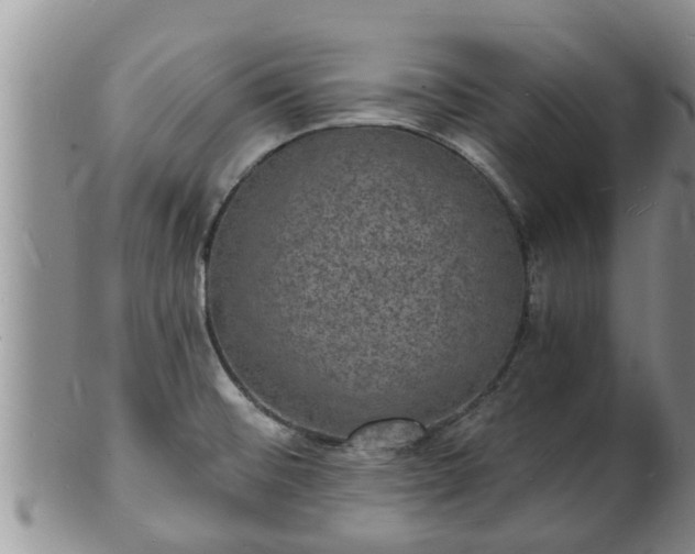 X0000102231476200808011214