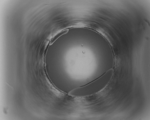X0000102231477200808011214
