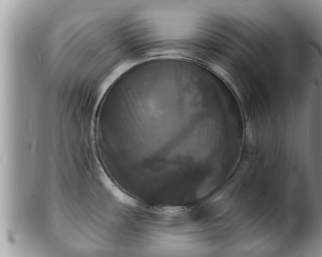 X0000102231482200808011214