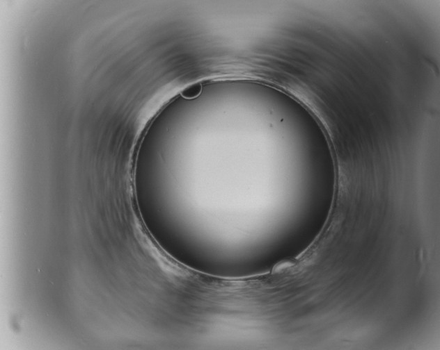 X0000102231485200808011214