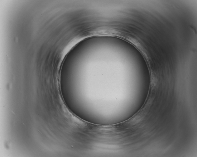 X0000102231486200808011214
