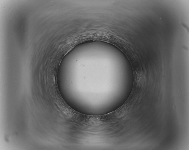 X0000102231489200808011213