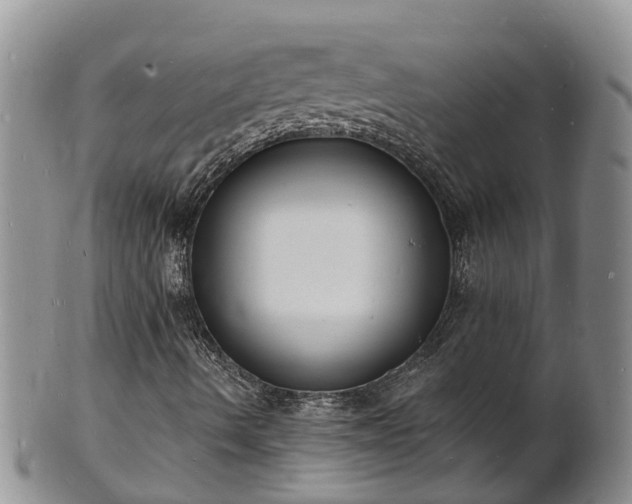 X0000102231490200808011213