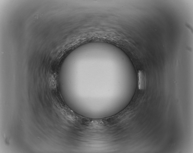 X0000102231491200808011213