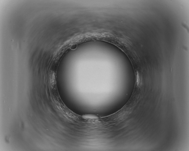 X0000102231492200808011213