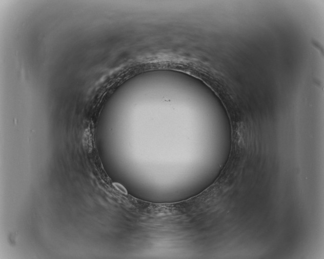 X0000102231493200808011213