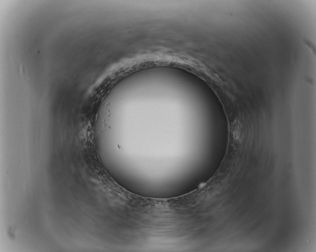 X0000102231495200808011213