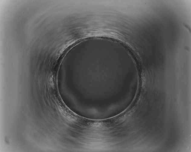 X0000102231497200808011213