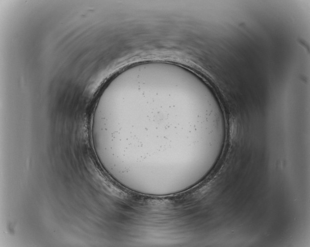 X0000102231498200808011213