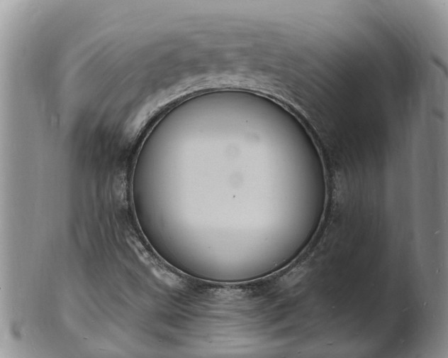 X0000102231499200808011213