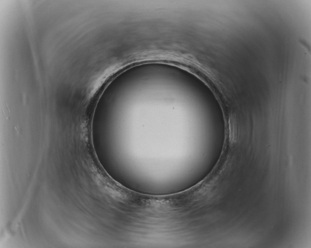 X0000102231501200808011213