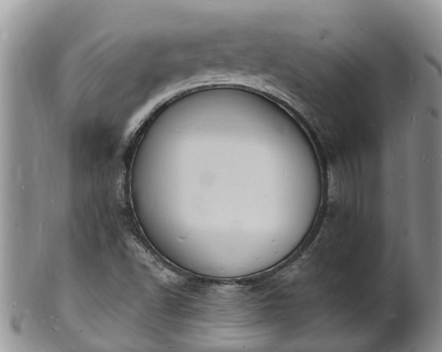 X0000102231502200808011213