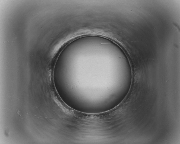 X0000102231503200808011213