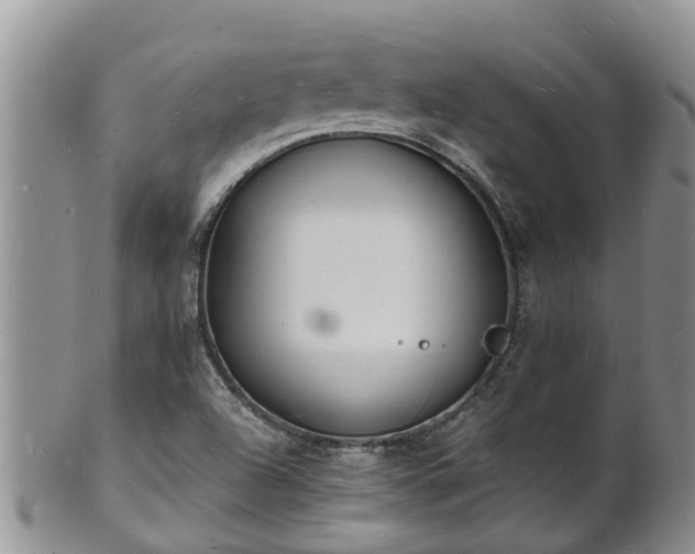X0000102231504200808011213
