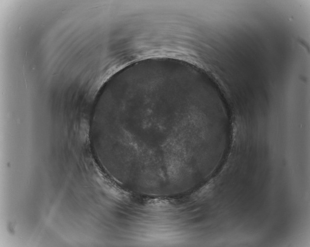 X0000102231505200808011213