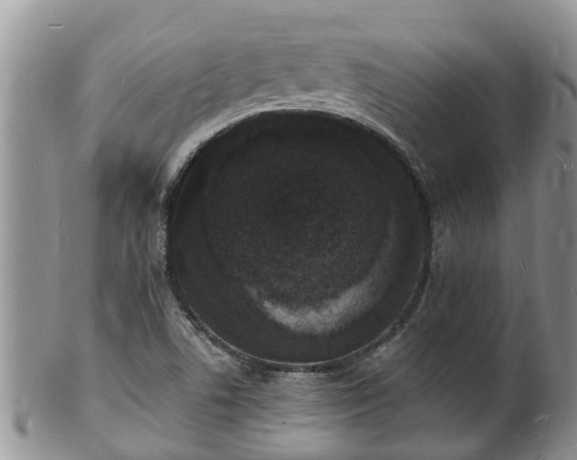 X0000102231506200808011213