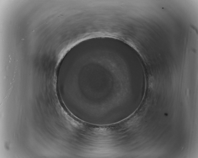 X0000102231508200808011213