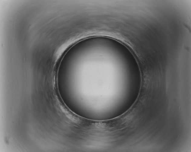 X0000102231511200808011213