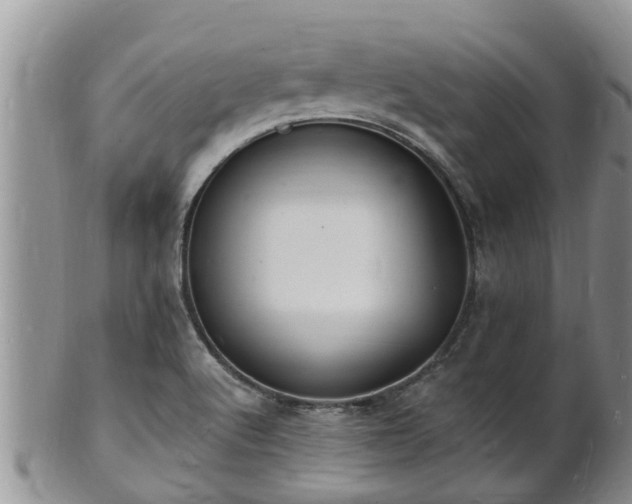 X0000102231512200808011213