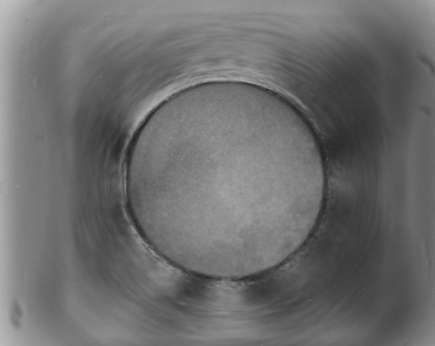 X0000102231514200808011213