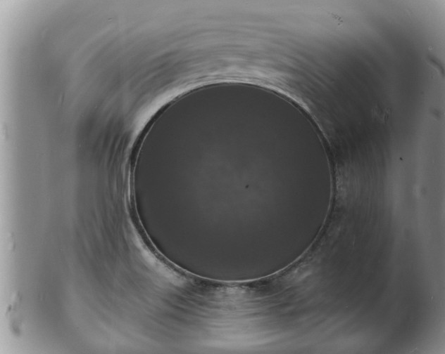 X0000102231515200808011213