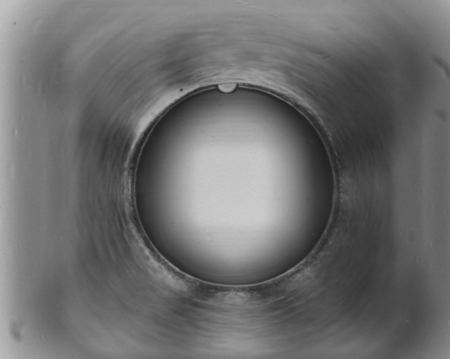 X0000102231517200808011213