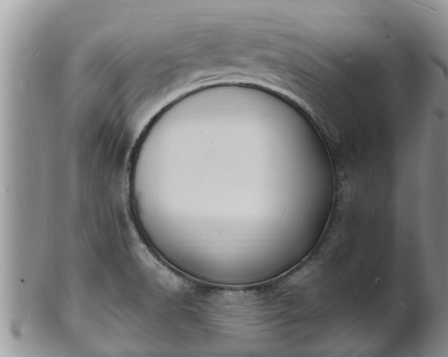 X0000102231518200808011213