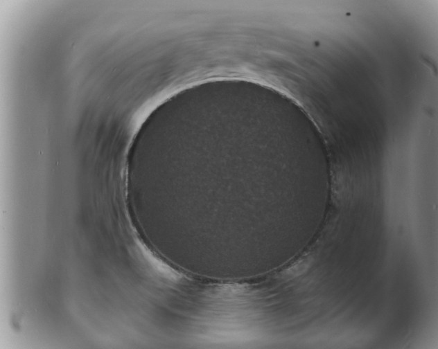 X0000102231519200808011213