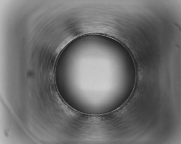 X0000102231521200808011213