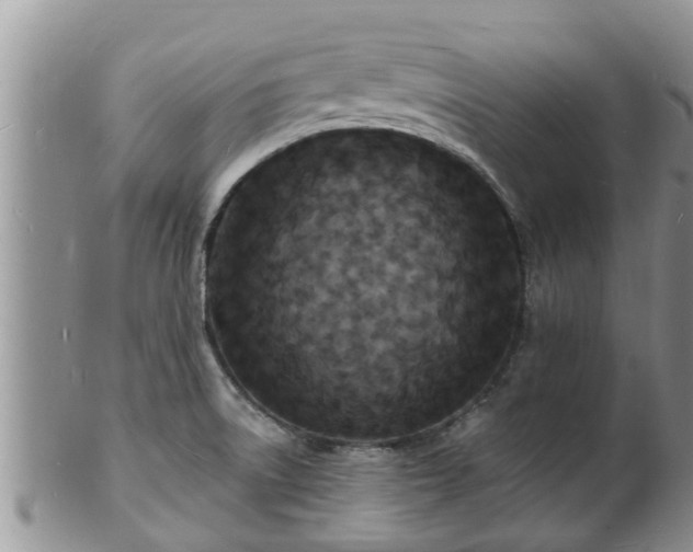 X0000102231522200808011213