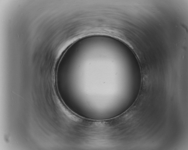 X0000102231523200808011213