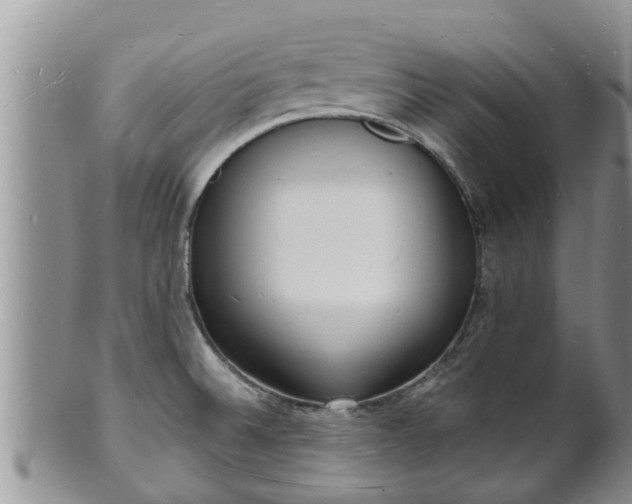 X0000102231524200808011213