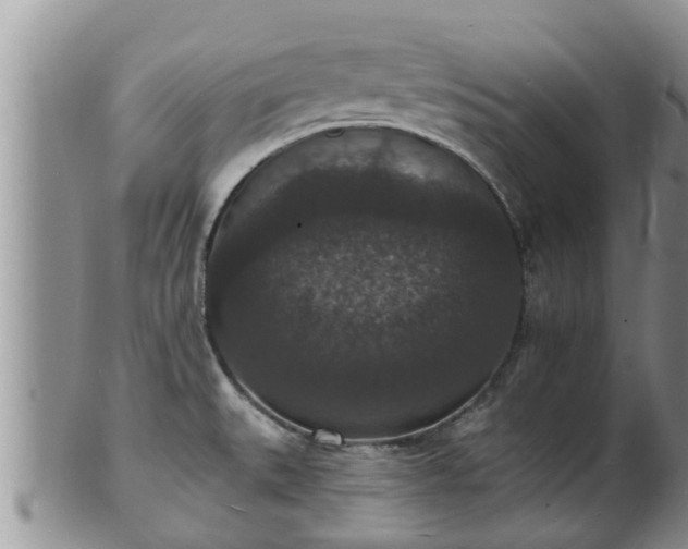 X0000102231527200808011213