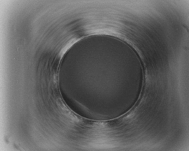 X0000102231529200808011213