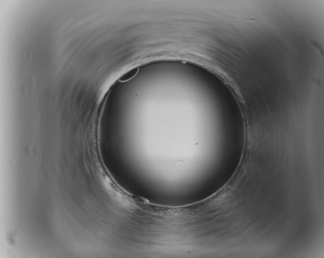 X0000102231530200808011213
