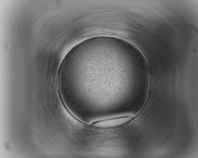 X0000102231531200808011213