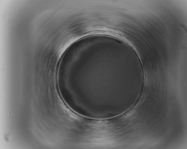 X0000102231533200808011214