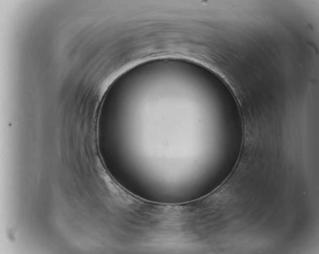 X0000102231534200808011214