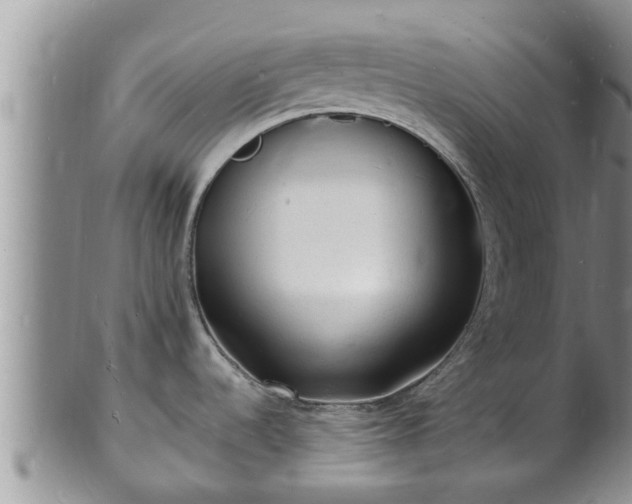 X0000102231536200808011214