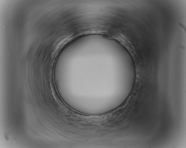 X0000102230001200808081358